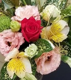 img20220922182853094611.jpg