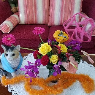 s-img_6936.jpg
