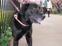 DSCF4143.JPG