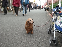 DSCF4153.JPG
