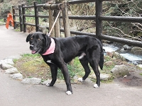 DSCF4162.JPG