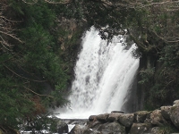 DSCF4165.JPG