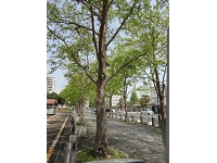 DSC04600.JPG