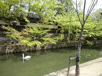 DSC04601.JPG