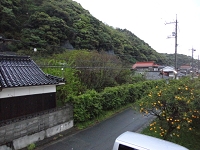 DSC04674.JPG