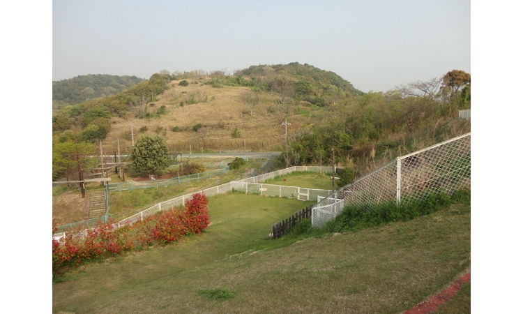 DSC04591.JPG