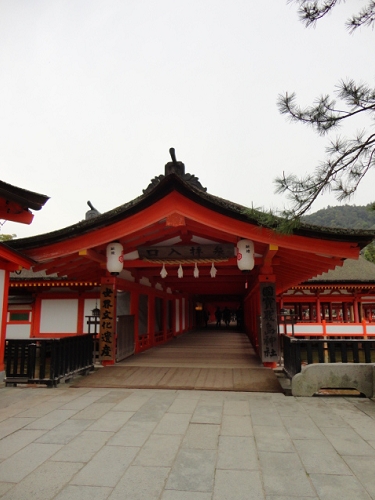 DSC04650.JPG