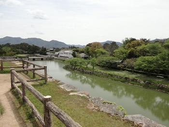 DSC04687.JPG