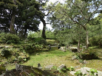 DSC04693.JPG