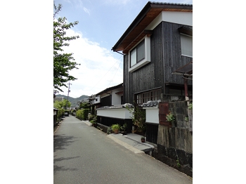 DSC04704.JPG