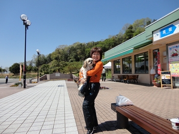 DSC04737.JPG