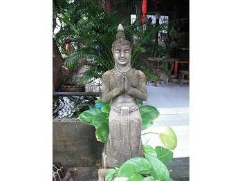 DSCF3822.JPG