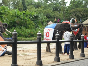 DSCF3859.JPG