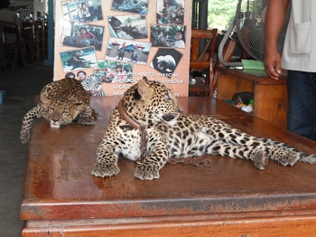 DSCF3891.JPG