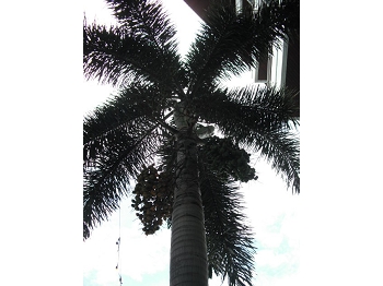 DSCF3925.JPG