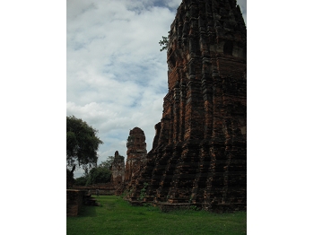 DSCF3942.JPG