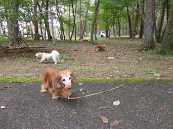 DSC05962.JPG