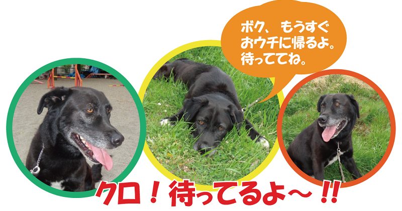 クロ待ってるよ.png