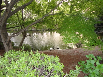 DSC07058.JPG