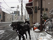 DSC09468.JPG