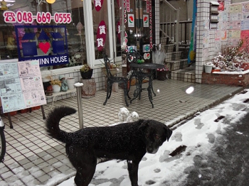 DSC09469.JPG