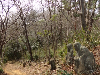 DSC09852.JPG