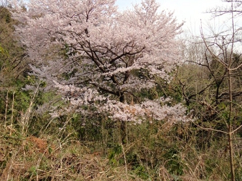 DSC09867.JPG
