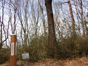 DSC09870.JPG