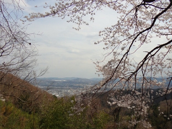 DSC09872.JPG