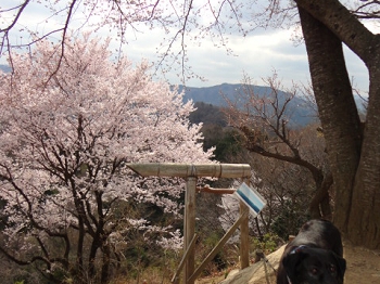DSC09877.JPG