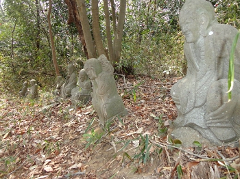 DSC09855.JPG