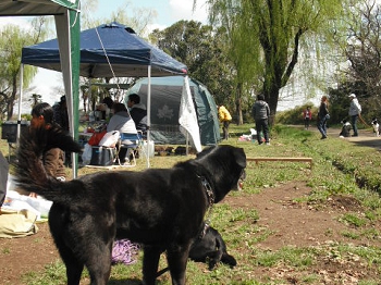 DSCF4519.JPG
