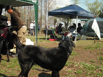 DSCF4521.JPG