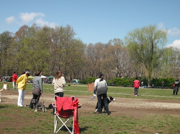 DSCF4522.JPG