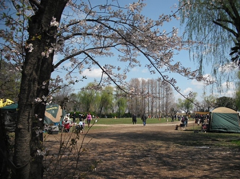 DSCF4525.JPG