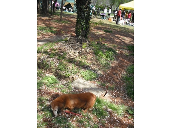 DSCF4527.JPG