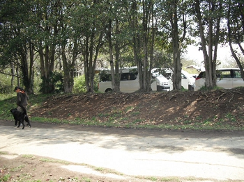 DSCF4528.JPG
