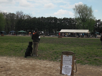 DSCF4536.JPG