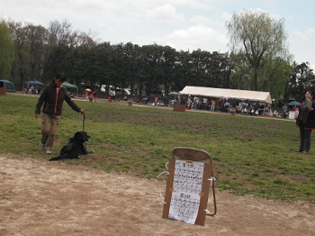 DSCF4537.JPG