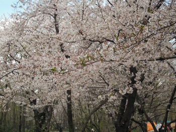 DSCF4538.JPG