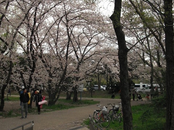 DSCF4539.JPG