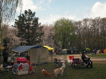 DSCF4540.JPG