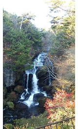 image17.jpeg