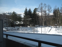 IMG_0490.JPG