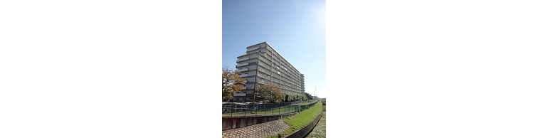 DSC02785.JPG