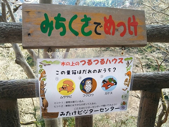 1491448789632.jpg
