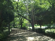 IMG_8258.JPG