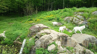DSC_9402オメガパーク.jpg