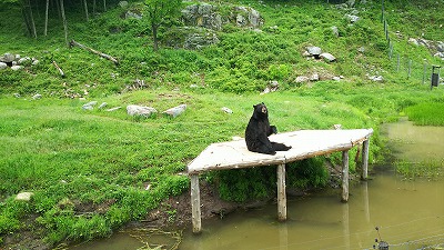 DSC_9408オメガパーク.jpg