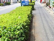 IMG_8419_R.JPG